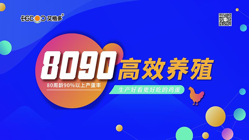 四會連開，艾格多8090高 效養(yǎng)殖700天唐山區(qū)域線下交流會成功舉辦