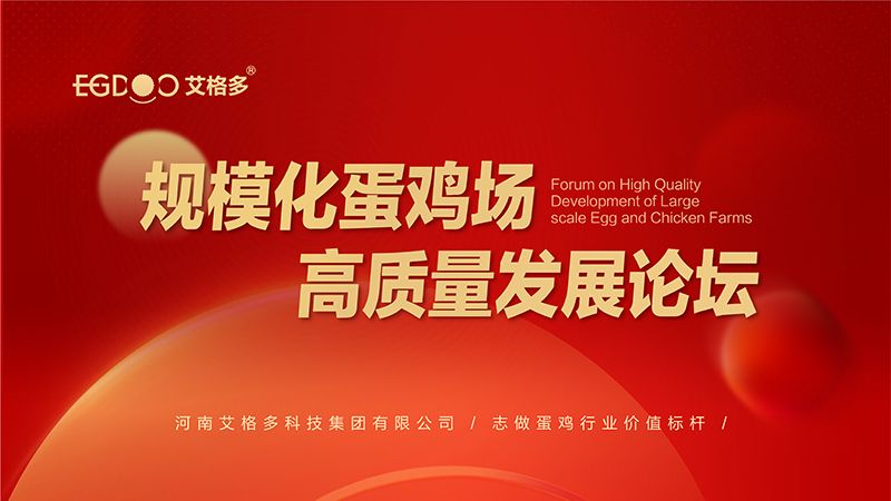 艾格多集團(tuán)-規(guī)?；半u場(chǎng)高質(zhì)量發(fā)展論壇圓 滿成功